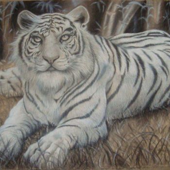 Painting titled "Tigre Blanco" by Ariel Maciel, Original Artwork