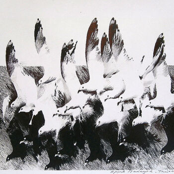 Dessin intitulée "Gulls flying" par Arija Paikule, Œuvre d'art originale, Crayon