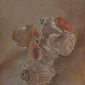 Painting titled "Shells (Coquilles)…" by Arina Ioana Muntean, Original Artwork, Pastel