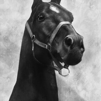 Painting titled "Horse" by Arina Safyanova, Original Artwork, Graphite