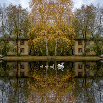 Фотография под названием "Нарушая симметрию." - Аркадий Смирнов, Подлинное произведение искусства, Цифровая фотография