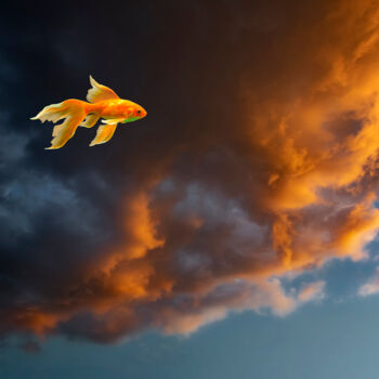 Photographie intitulée "Сон золотой рыбки." par Arkadii Smirnov, Œuvre d'art originale, Photographie numérique