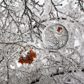 Photographie intitulée "Зимняя рябина." par Arkadii Smirnov, Œuvre d'art originale, Photographie numérique