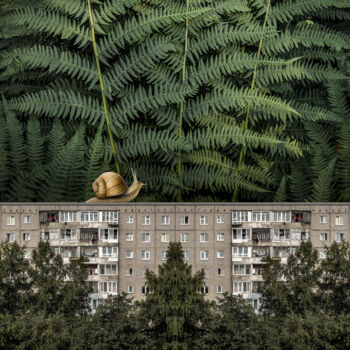 Photographie intitulée "Улитка" par Arkadii Smirnov, Œuvre d'art originale, Photographie manipulée