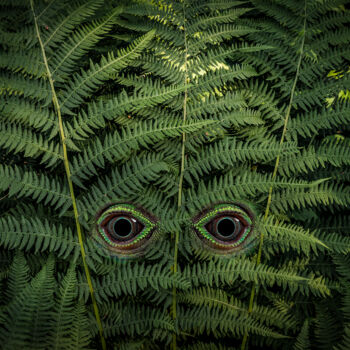 Photographie intitulée "Лесной дух" par Arkadii Smirnov, Œuvre d'art originale, Photographie manipulée