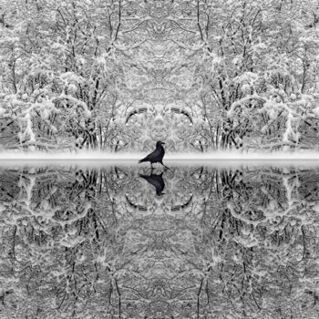 Photographie intitulée "In black and white" par Arkadii Smirnov, Œuvre d'art originale, Photographie manipulée