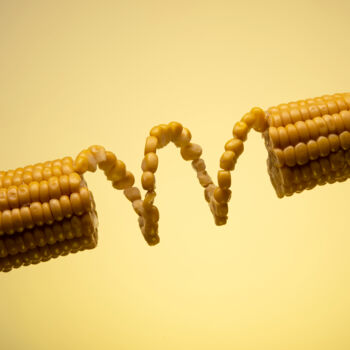 Fotografie getiteld "Corn" door Arkadiusz Gepchard, Origineel Kunstwerk, Digitale fotografie