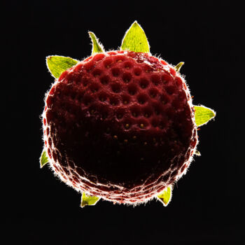 Фотография под названием "strawberry" - Arkadiusz Gepchard, Подлинное произведение искусства, Цифровая фотография