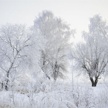 Photographie intitulée "Snow and trees, win…" par Arkady Gude, Œuvre d'art originale