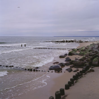 제목이 "Baltic sea coast. O…"인 사진 Arkady Gude로, 원작