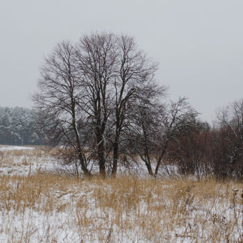 Fotografía titulada "Winter mood. First…" por Arkady Gude, Obra de arte original