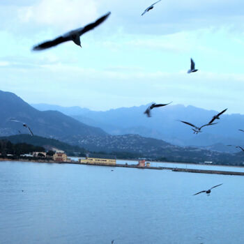 Fotografie mit dem Titel "Flock of birds arou…" von Armajay, Original-Kunstwerk, Digitale Fotografie