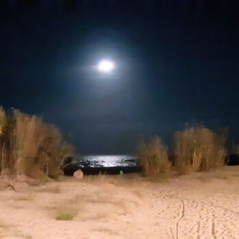 摄影 标题为“Moonlight on the wi…” 由Armajay, 原创艺术品, 数码摄影
