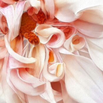 Arte digital titulada "Delicate Pink Flowe…" por Armajay, Obra de arte original, Pintura Digital