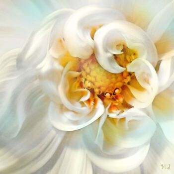 Digital Arts titled "Delicate white flow…" by Armajay, Original Artwork, Digital Painting