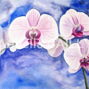 Malarstwo zatytułowany „orchidée blanche” autorstwa Armelle Cailly, Oryginalna praca, Akwarela Zamontowany na Karton