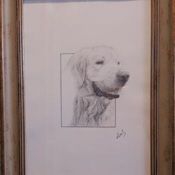 Painting titled "Dog" by Armen Sahakyan, Original Artwork, Pencil