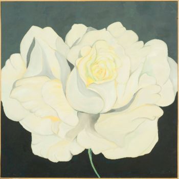 Painting titled "White Rose" by Armida "Pupa" Nardi, Original Artwork, Oil