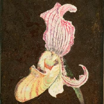 Painting titled "Orchidea Scarpetta" by Armida "Pupa" Nardi, Original Artwork, Oil