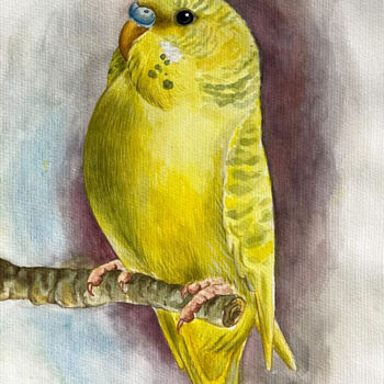 Painting titled "Yellow Budgie with…" by Armine Abrahamyan, Original Artwork, Watercolor