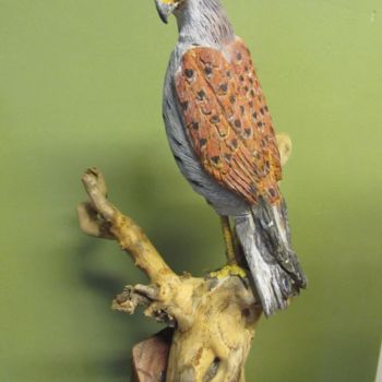 Sculpture intitulée "le faucon crécerelle" par Satorra, Œuvre d'art originale, Bois
