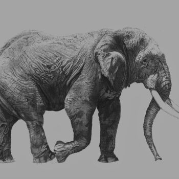 Dessin intitulée "elephant" par Arsla Matthieu, Œuvre d'art originale, Stylo à bille