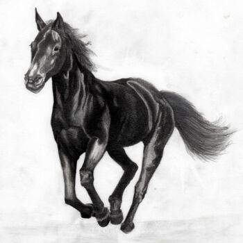 Drawing titled "Cheval" by Arsla Matthieu, Original Artwork, Pencil