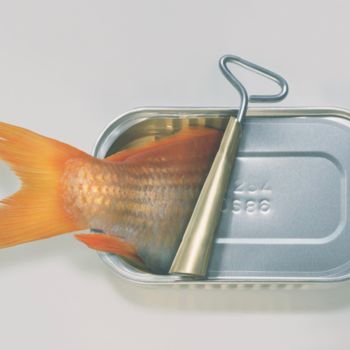 数字艺术 标题为“Fish Can't” 由Art Grafts, 原创艺术品, 模拟打印