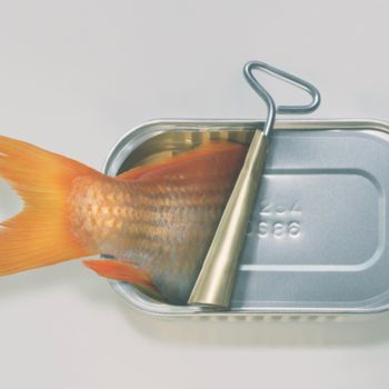 "Fish Can't" başlıklı Dijital Sanat Art Grafts tarafından, Orijinal sanat, Analog Baskı