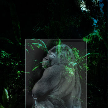 印花与版画 标题为“jungle-gorilla.jpg” 由Glass Hysteria, 原创艺术品, 其他