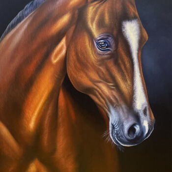 Картина под названием "Horse portrait" - Artak Galstyan, Подлинное произведение искусства, Масло