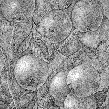 Dessin intitulée "Branche de pommier" par Anerosh, Œuvre d'art originale, Encre