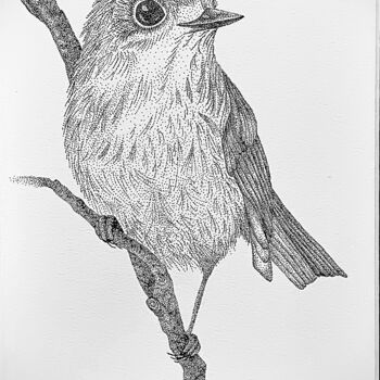 Disegno intitolato "Series Bird 1" da Anerosh, Opera d'arte originale, Inchiostro