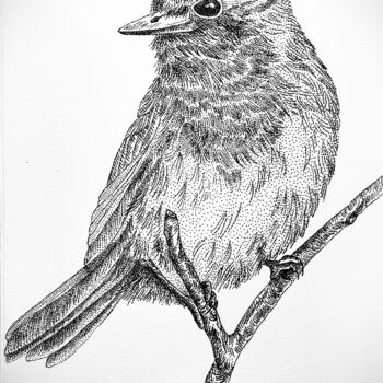 Disegno intitolato "Series Bird 3" da Anerosh, Opera d'arte originale, Inchiostro