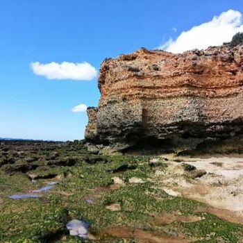 Fotografia zatytułowany „blue sky” autorstwa Artbuzzy, Oryginalna praca, Fotografia cyfrowa