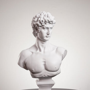 Sculptuur getiteld "Michelangelo’s Davi…" door Dervis Yusuf Akdemir, Origineel Kunstwerk, Hars