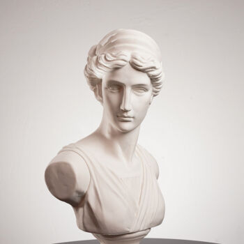 Скульптура под названием "The Goddess Of The…" - Dervis Yusuf Akdemir, Подлинное произведение искусства, Гипс