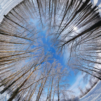 Photography titled "Winter park, round…" by Artcomma, Original Artwork