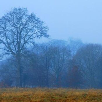 Photographie intitulée "Ma Normandie" par Christian Geai, Œuvre d'art originale