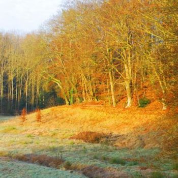 Photographie intitulée "MACAMPAGNE" par Christian Geai, Œuvre d'art originale