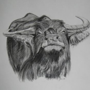 Drawing titled "water buffalo" by Joie, Original Artwork