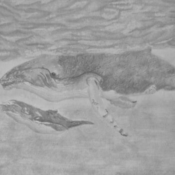 Dessin intitulée "Baleine et son petit" par Noémie Richard, Œuvre d'art originale, Graphite
