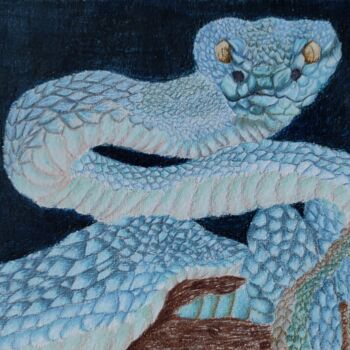 Dessin intitulée "Serpent bleu" par Noémie Richard, Œuvre d'art originale, Crayon
