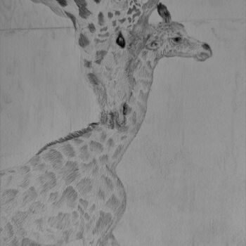"Girafe et son petit" başlıklı Resim Noémie Richard tarafından, Orijinal sanat, Grafit