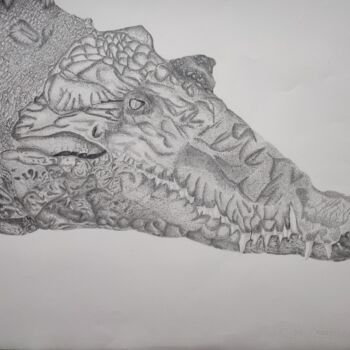 Drawing titled "Alligator" by Noémie Richard, Original Artwork, Graphite