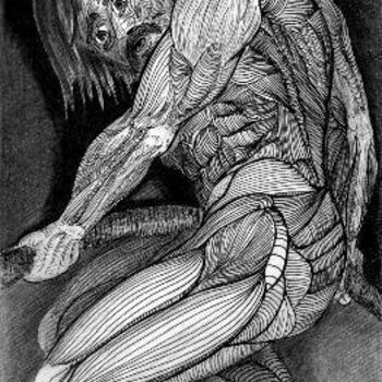 Dibujo titulada "Denudo Sin Piel 1-…" por Jorge Washington Verde Ramos, Obra de arte original, Otro