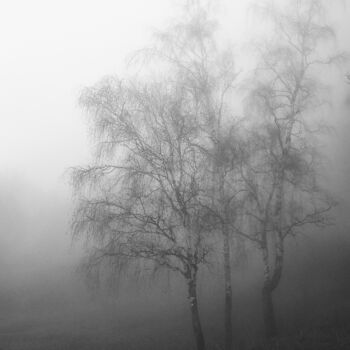 Fotografie getiteld "three trees" door Artem Lebedev, Origineel Kunstwerk, Digitale fotografie
