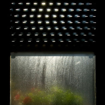 Photographie intitulée "Eyes of Houses 2" par Artemova, Œuvre d'art originale, Photographie numérique