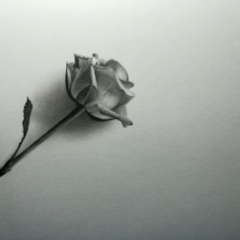Rysunek zatytułowany „Róża” autorstwa Kamil Gogolinski, Oryginalna praca