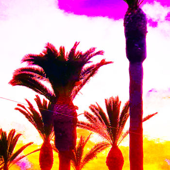 Фотография под названием "The PALM TREES in R…" - Idaver / Idawer, Подлинное произведение искусства, Цифровая фотография